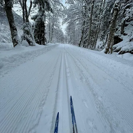 Pia * Wald am Arlberg